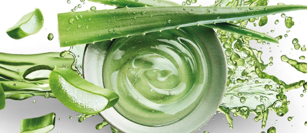 Aloe Vera de LR Health & Beauty